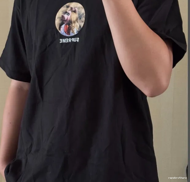24SS TEE MISS ￥119 PIGGY 0729